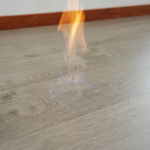 Why SPC Floor Is Taking Over Homes and Businesses Alike